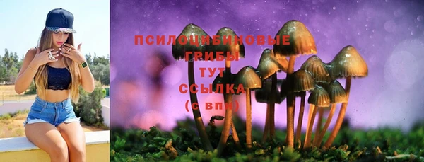 стафф Белокуриха