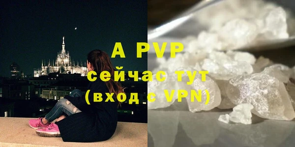 каннабис Покачи